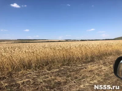 Продажа земель сельхозназначения в Ставропольском крае фото 2